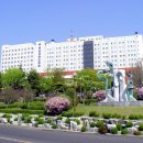 영남대학교 이미지