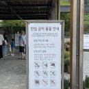 9월 화담숲 모노레일 없이 걸어본 후기! 단풍시기 및 성수기 예매 방법 알아보기