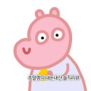 [SSG 내돈내산]메트로시티 가방 숄더백 후기💕 / 20대 여자선물 추천