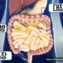 위드점핑다이어트
