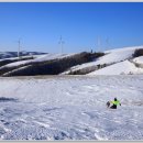 삼양목장 이미지