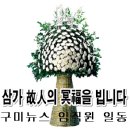 LG Display(주)