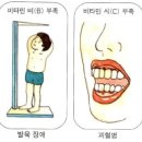 비타민독서실 이미지