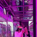 GS25 제주함덕점 이미지