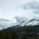 선왑타 폭포(Sunwapta Falls)에서 스터트필드 빙하 전망대 (Stutfield Glacier Viewpoint)로 이동 이미지