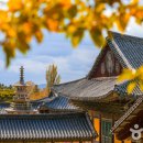 모던풀빌라 이미지