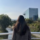 여행드림 이미지
