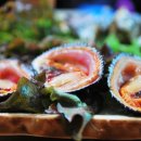 늘푸른하우스 이미지