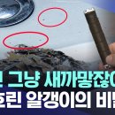 "이건 그냥 새까맣잖아요!" 물 흐린 알갱이의 비밀 /MBC /플라스틱 마셔요" 은계지구 1만 3천 세대‥5년째 검은물 이미지