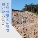 의령 태양광발전소 이미지