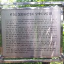 청계산 등산로 이미지