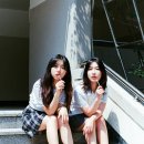 치즈선생님