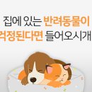 별난맛냉면 이미지