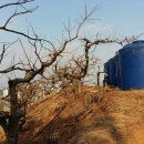 길우농장 이미지