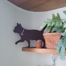 한 스틸 이미지