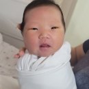 혜담약국 | 울산 로즈메디 [출산후기 , 병원/조리원 후기]
