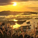 일출로2 이미지
