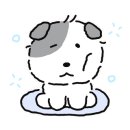 스탠다드피자 이미지
