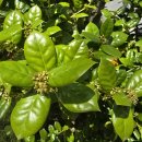 심리학개론 이미지