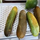 바람난 임금님 쌍화탕 이미지