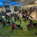 짐구공 24시 헬스 PT 스피닝 시청점 이미지