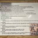 진 장어 & 쭈꾸미 이미지