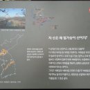 한반도면-7 이미지