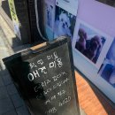 멋내는애견 이미지