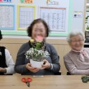 기억키움 치매예방교실 | [노인복지 / 치매예방] 원예교실 - 2026. 1. 14.