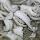 오아라쭈꾸미 이미지