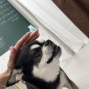 해밀뷰티