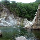 (주)진튜브 Daum카페