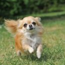 24시 나음동물의료센터 이미지