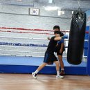 고구려복싱클럽 이미지