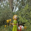 고전과 디카시 이미지