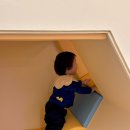 천안세무서 | 천안 청당동 신상 제니스 키즈카페 15개월 아기 리얼후기