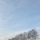 흰등 | 삿포로여행 홋카이도 비에이 투어 흰그림자투어 | 코스 준페이 내돈내산후기