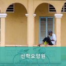 선학요양원 이미지