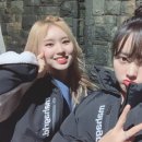 엘리정보 이미지