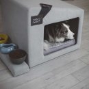 로아코리아 이미지