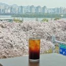 2024. 04. 02. 4월 첫째 주 (태기스 애착인형, 강변서재, 마녀의카페, 신대방벚꽃, 비치움 매트리스케어)