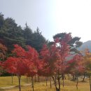 직지민박 이미지