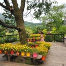 아름다운관광농원화수목 이미지