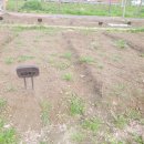 광진농장 이미지