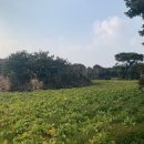 온평초등학교 이미지