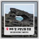 사진공간창 | [제주애견동반여행] 제주 애견동반여행 동쪽코스. 제주 사진명소 '창 꼼바위' 방문후기.