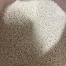 유니온 펫 | 15살 노묘 마루의 화장실 정착기! 백년애 먼지없는 카사바모래 균일입자 후기