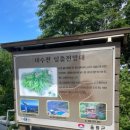 울릉도선창호텔 이미지