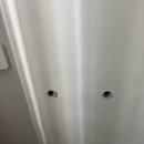 극동세탁 이미지