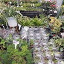 미림농장 이미지